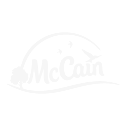 Logo McCain
